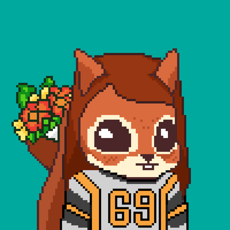 Pixel Squirrels #7012